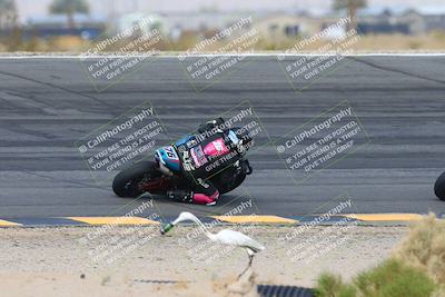 media/Mar-02-2025-Race Pace (Sun) [[8bec80ae00]]/2-Verified (Bowl Backside) 940am/